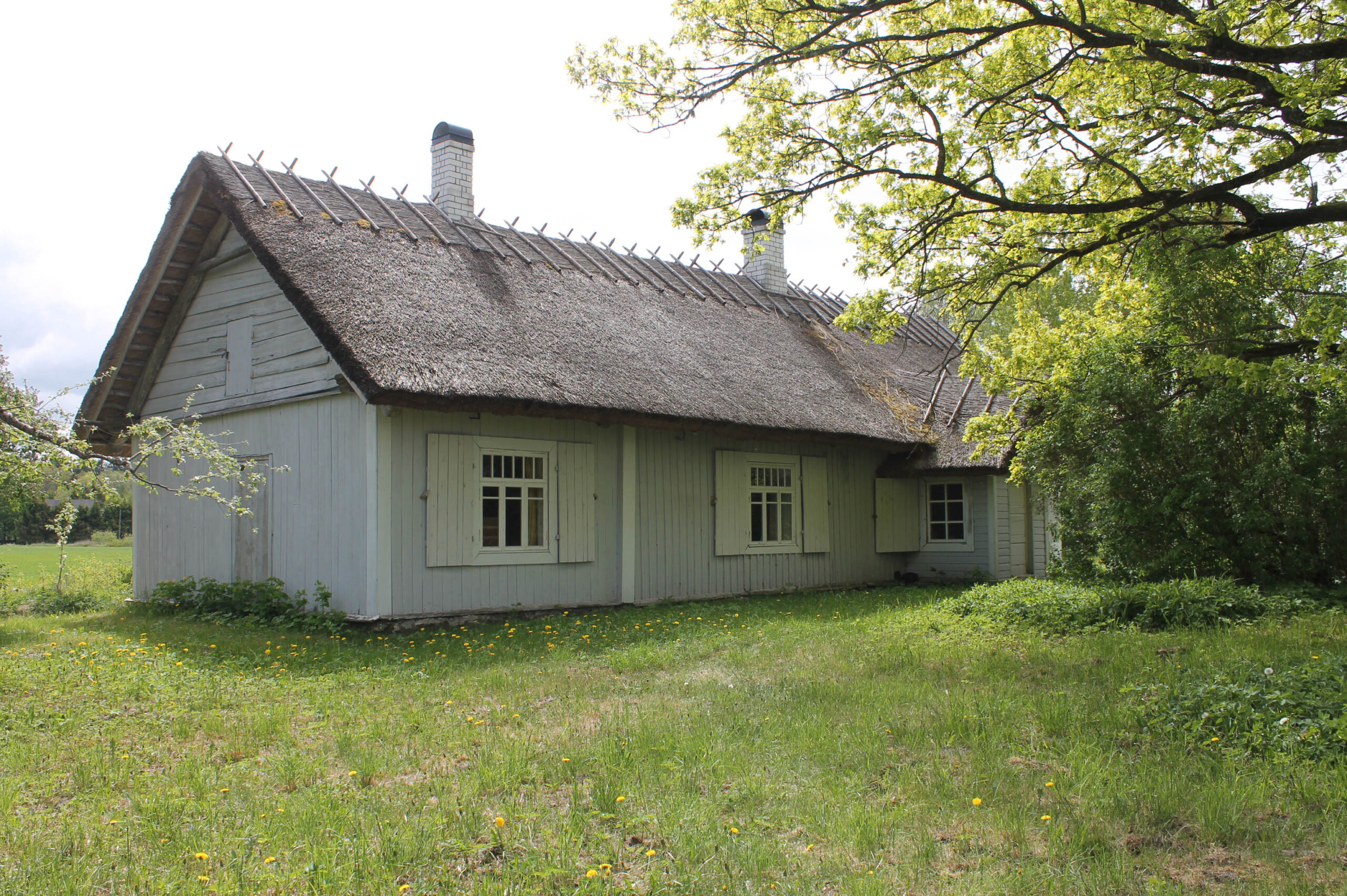 Headerbild